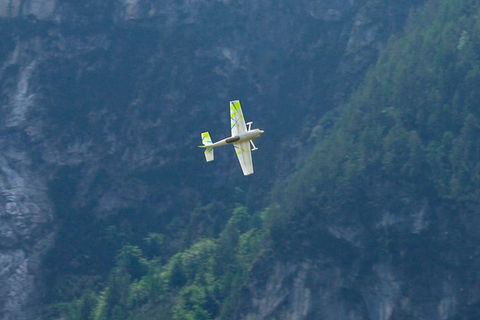 The Shard, 3d printed aerobatic rc plane