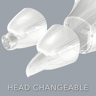 The Planeprint Eagle has a changeable head.