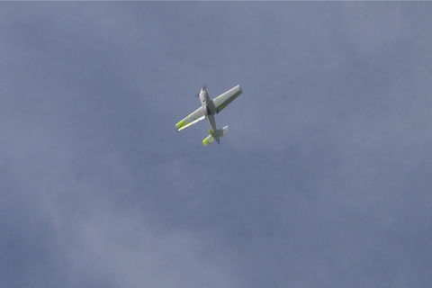 The Shard, 3d printed aerobatic rc plane