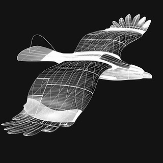 3d printing bird