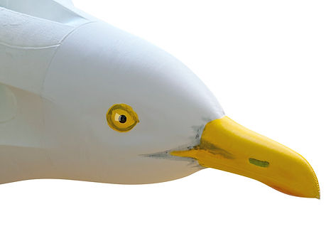 Planeprint Great Gull Head painted