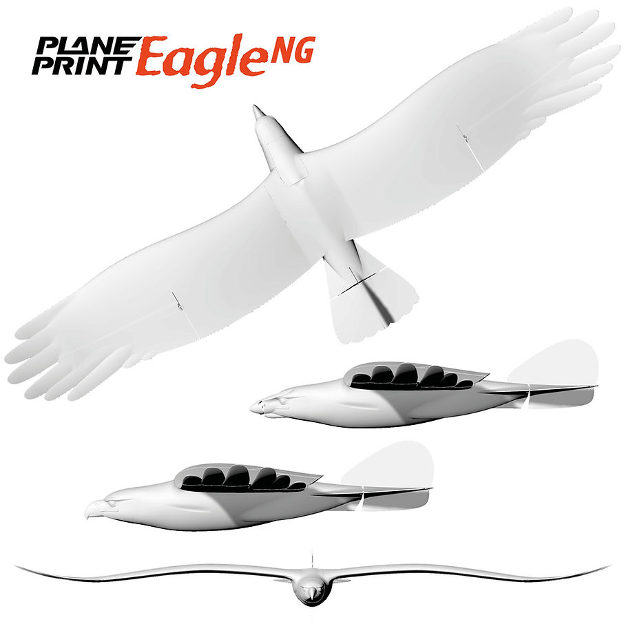 Planeprint Eagle NG plan