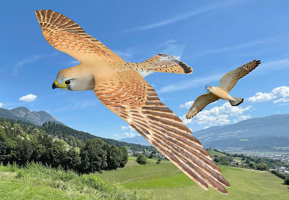 Planeprint-Falcon-official