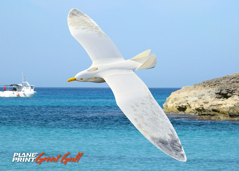 Planeprint-Great-Gull-official pic