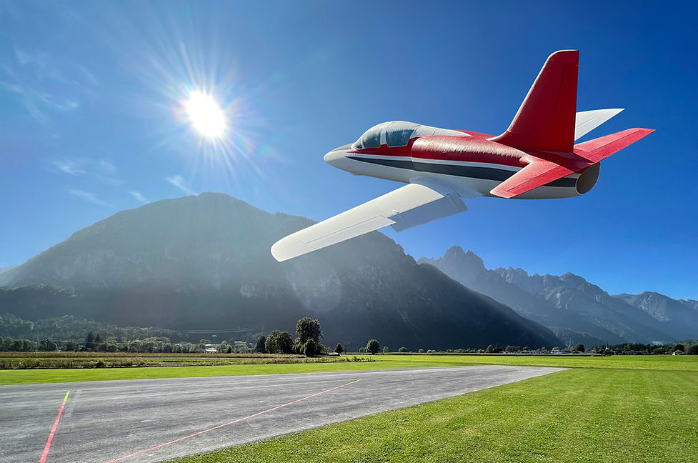 Planeprint 3d printed L39 Albatros