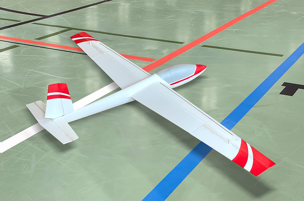 3d printed Swift S1 by Planeprint