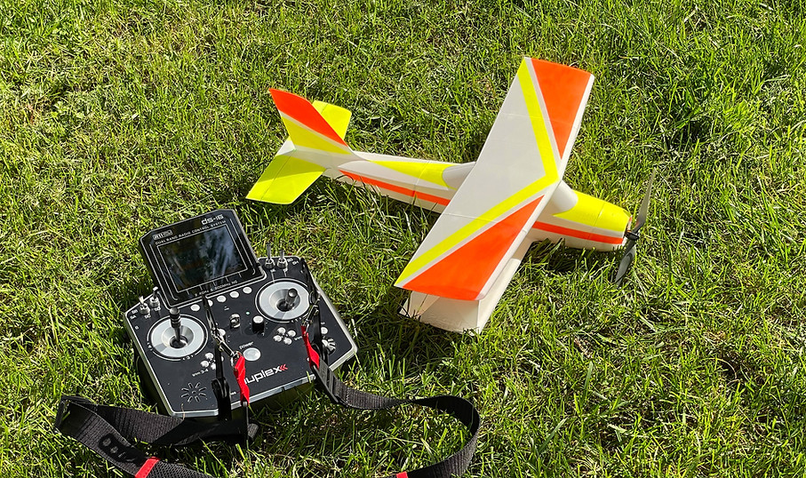 Planeprint Ziggy 3d printed plane