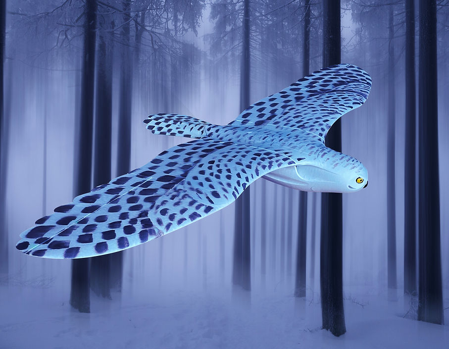 Fully 3d printed Owl Snowy
